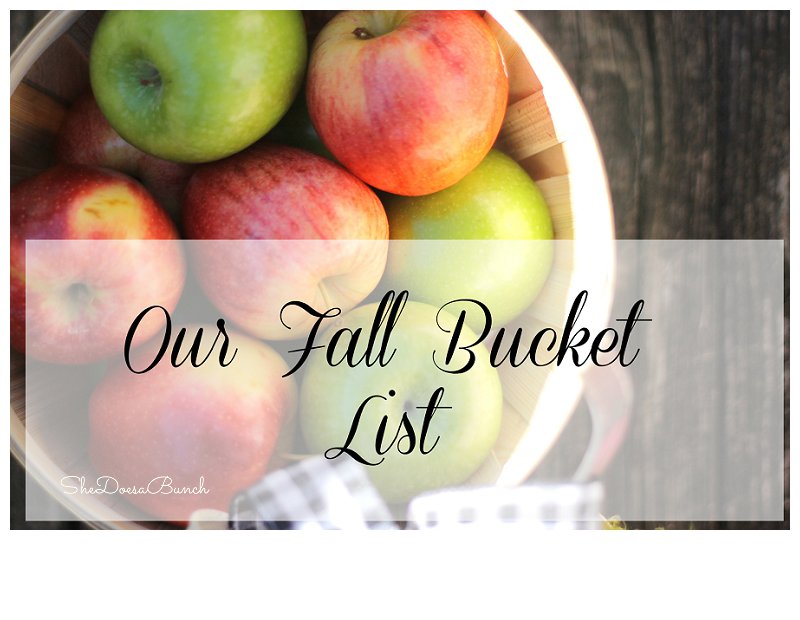 Our Fall Bucket List