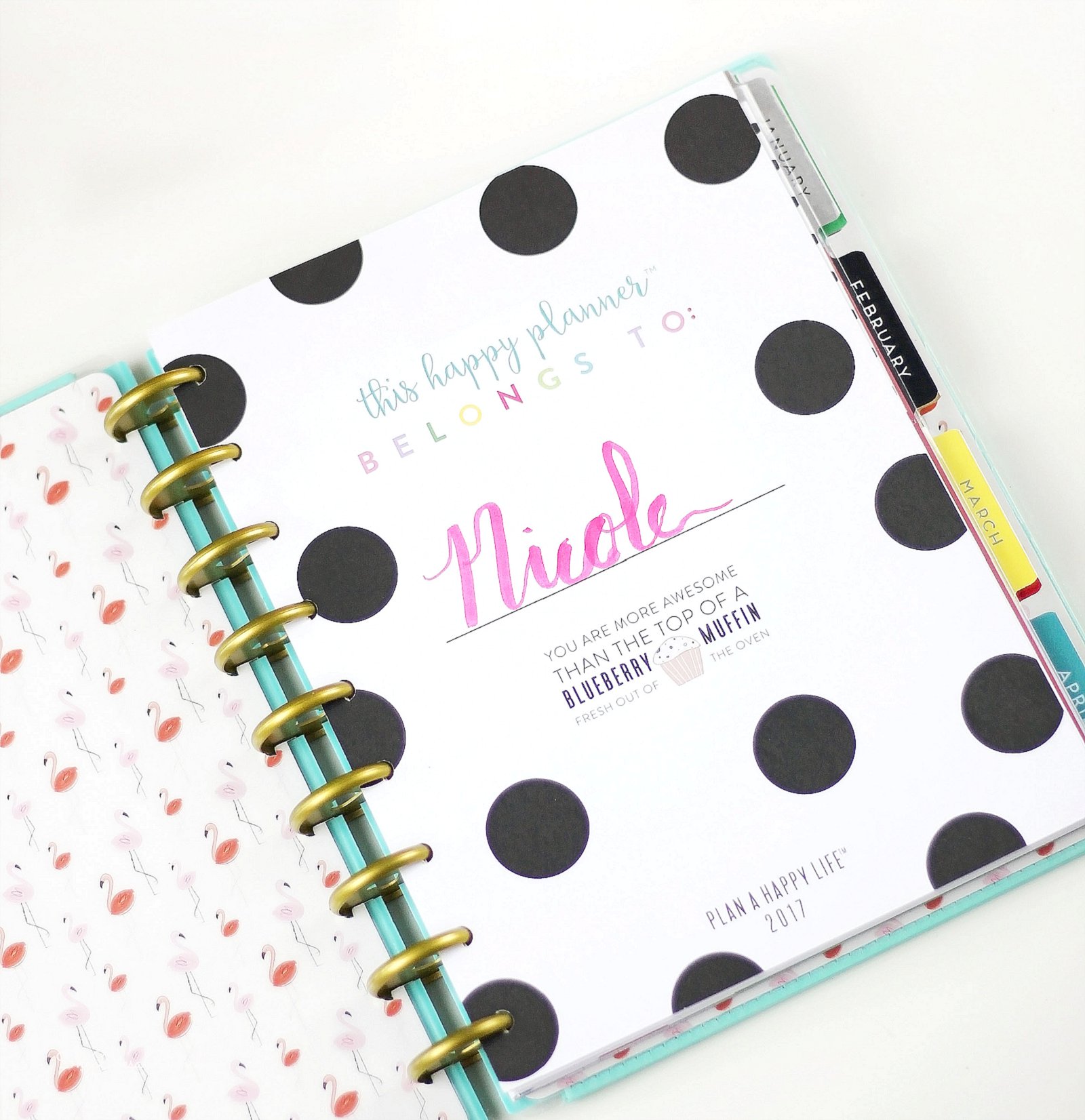 She Does a Bunch 2017 Planner Line Up